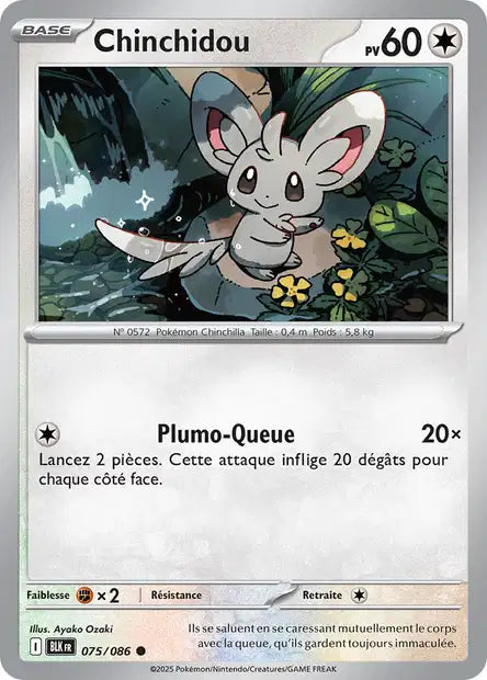075/086 - Chinchidou