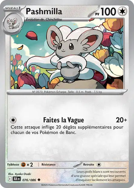 076/086 - Pashmilla
