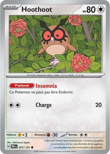 077/131 - Hoothoot