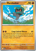 080/132 - Marshadow