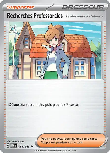 085/086 - Recherches Professorales