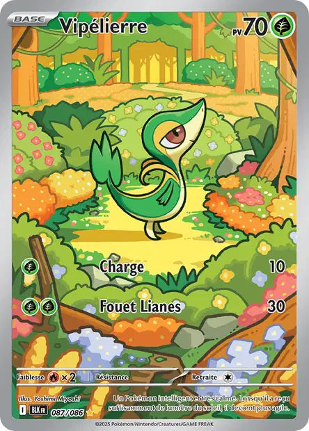087/086 - Vipélierre