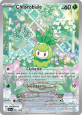 091/086 - Chlorobule