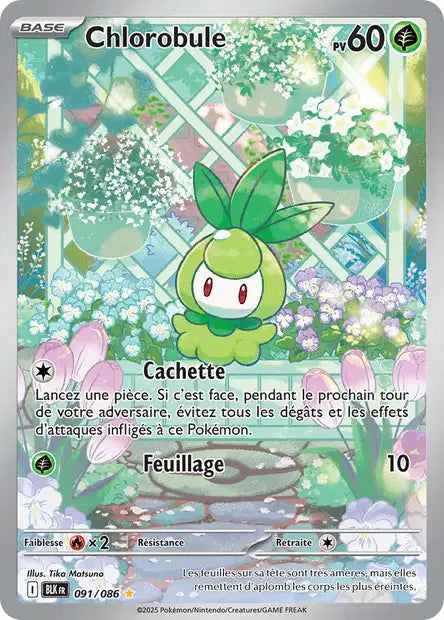 091/086 - Chlorobule