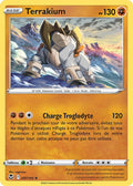097/195 - Terrakium