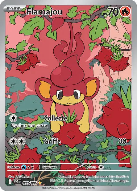 099/086 - Flamajou