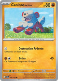 099/167 - Caninos de Hisui