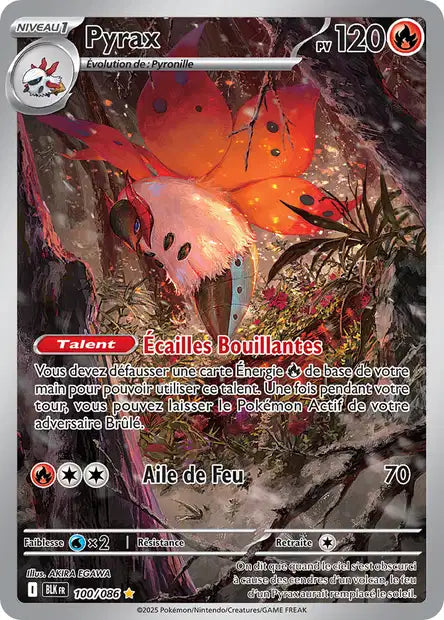 100/086 - Pyrax