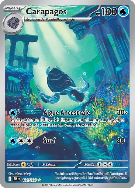 106/086 - Carapagos