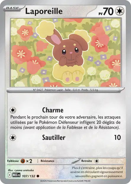 107/132 - Laporeille