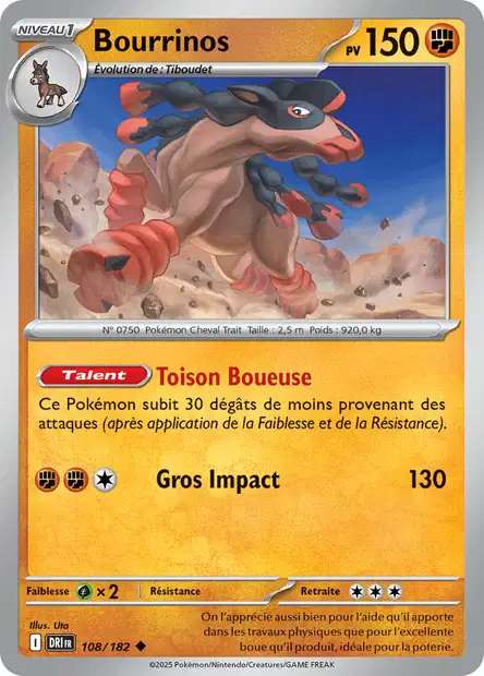 108/182 - Bourrinos