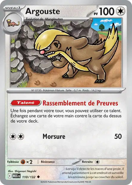 110/132 - Argouste