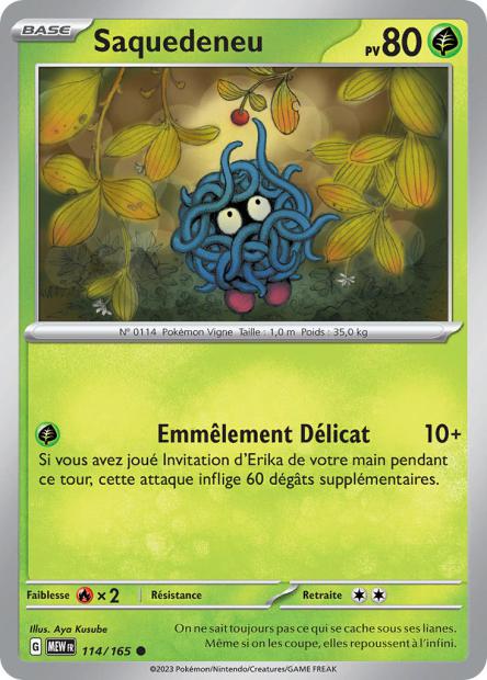 114/165 - Saquedeneu