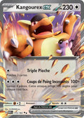 115/165 - Kangourex EX