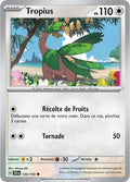 123/159 - Tropius