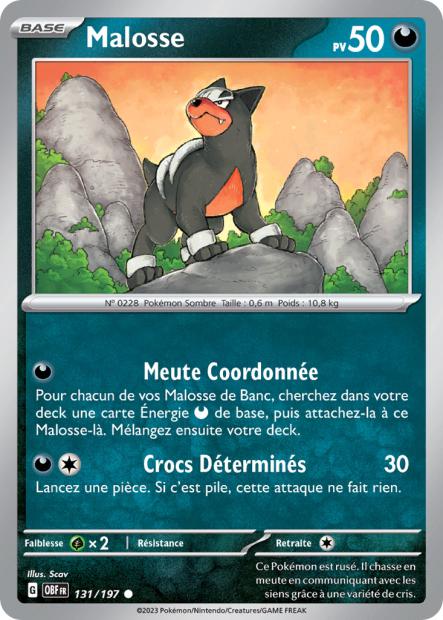 131/197 - Malosse