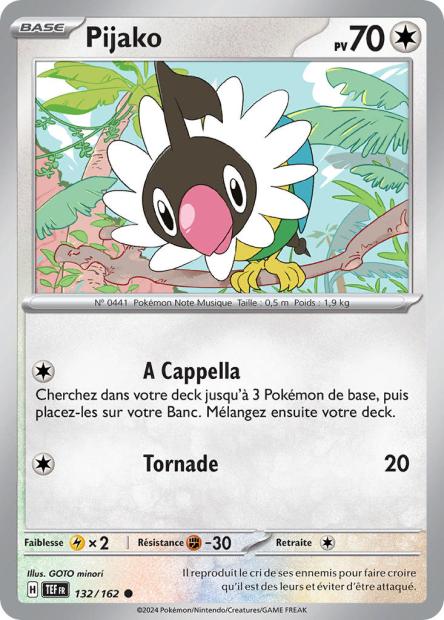 132/162 - Pijako