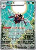 137/132 - Ninjask