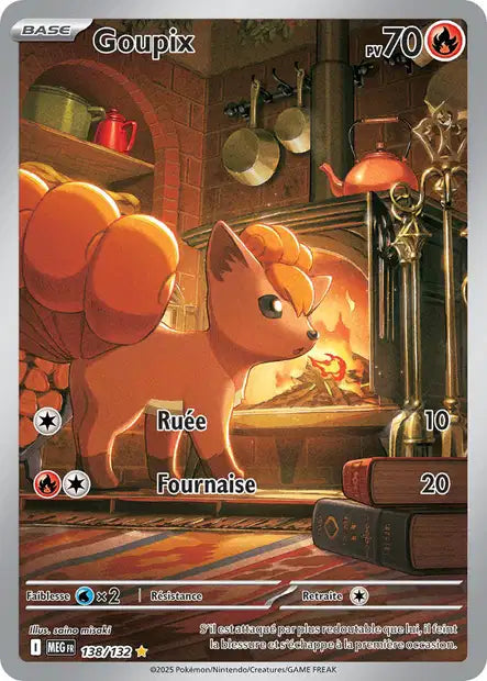 138/132 - Goupix