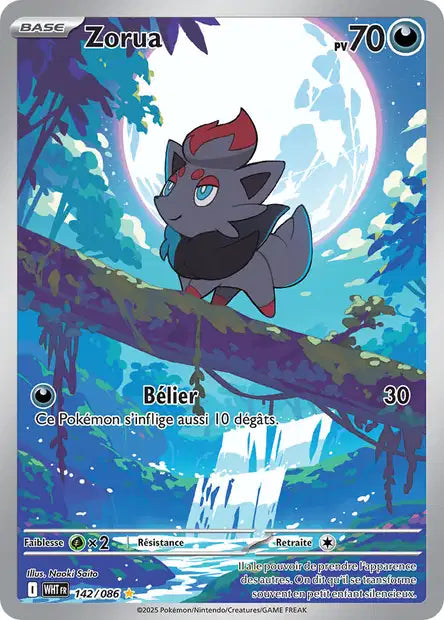 142/086 - Zorua