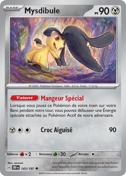 143/197 - Mysdibule