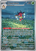 144/142 - Coxyclaque