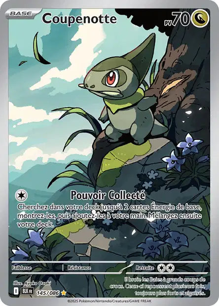 145/086 - Coupenotte
