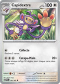146/182 - Capidextre