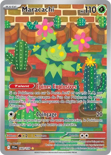 160/159 - Maracachi