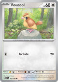 162/197 - Roucool