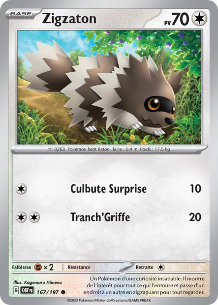 167/197 - Zigzaton