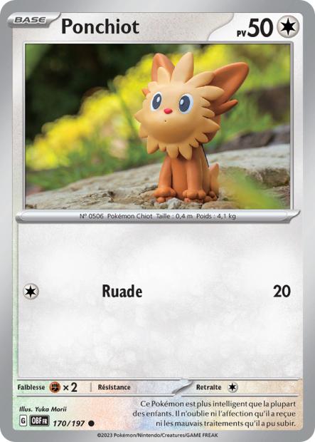 170/197 - Ponchiot