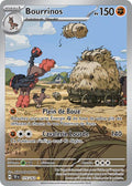 175/162 - Bourrinos