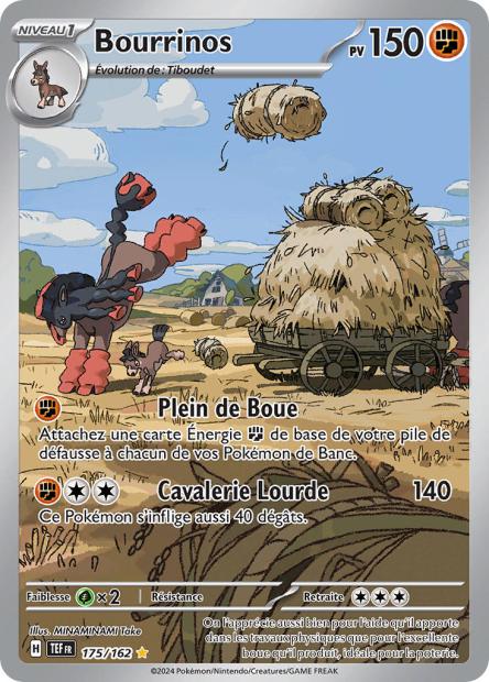 175/162 - Bourrinos