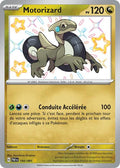 195/091 - Motorizard