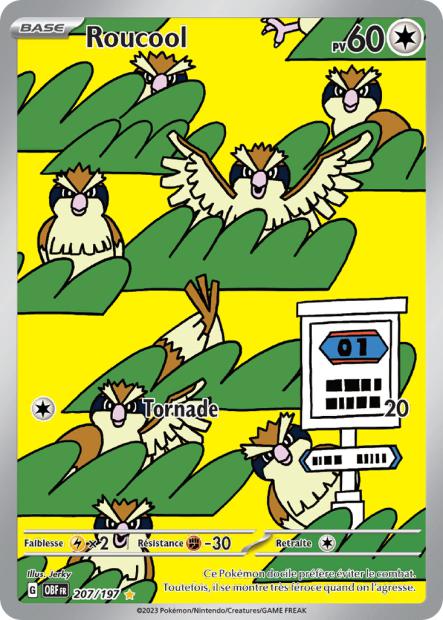 207/197 - Roucool