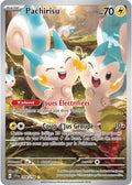 208/198 - Pachirisu