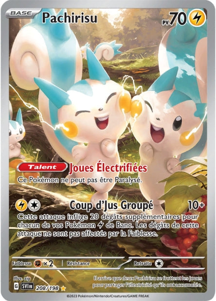 208/198 - Pachirisu