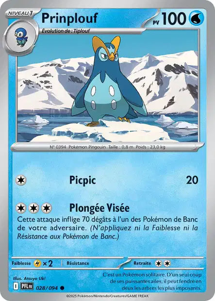 028/094 - Prinplouf