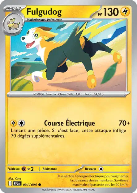 031/094 - Fulgudog
