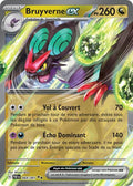 Bruyverne ex 69/91