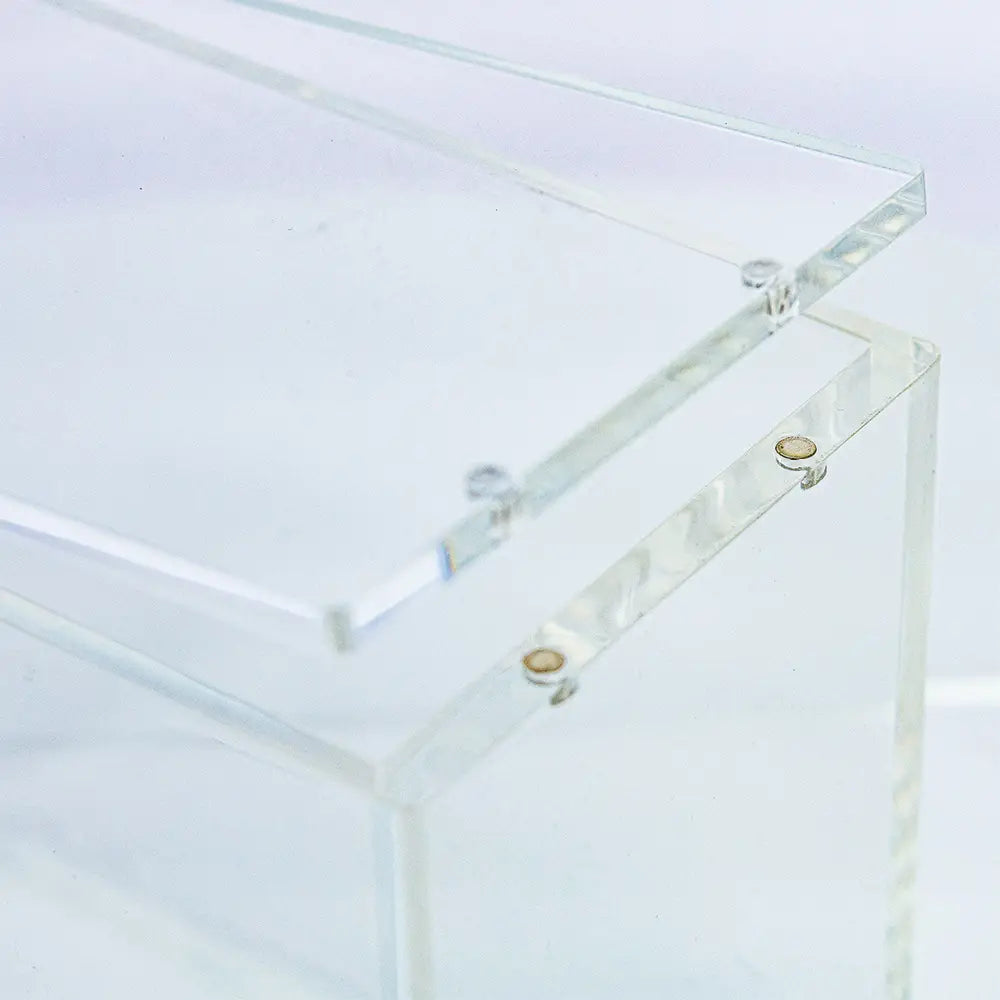 Protection  Acrylique Display Pheonix Shield