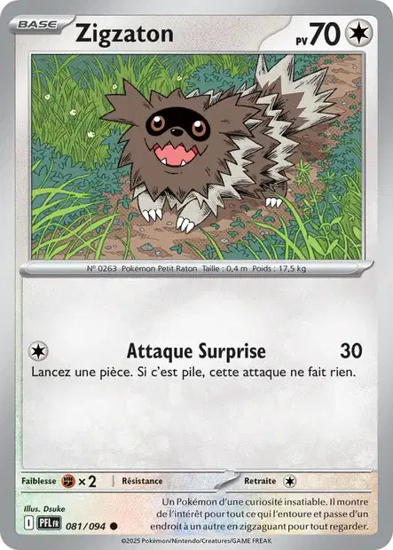 081/094 - Zigzaton