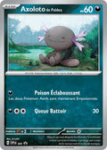 SVP041 - Axoloto de Paldea