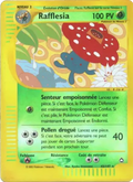 Rafflesia