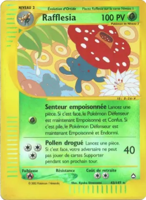 Rafflesia