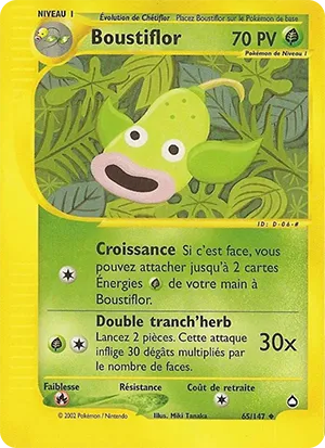 Boustiflor