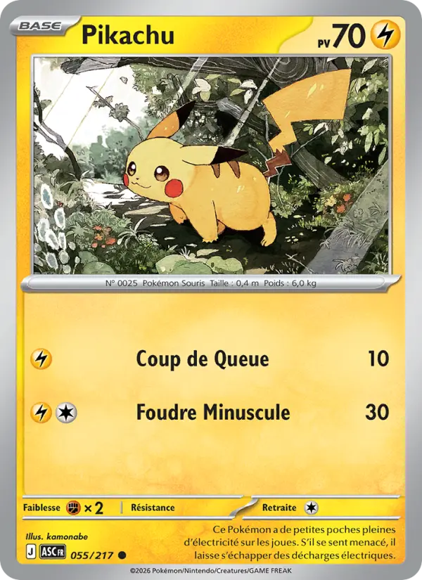 055/217 - Pikachu