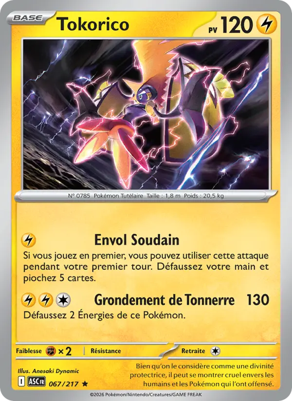 067/217 - Tokorico