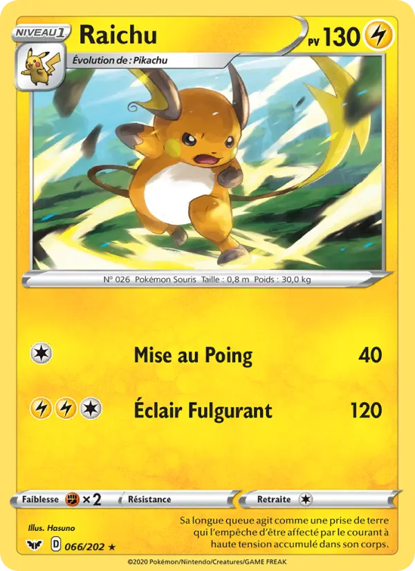 066/202 - Raichu